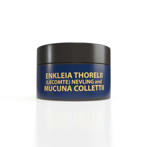 (2in1) Enkleia thorelii (Lecomte) Nevling, Mucuna Collettii Herbal Gel 50g. ORIENTAL HERITAGE HERBALISTS - Image 2