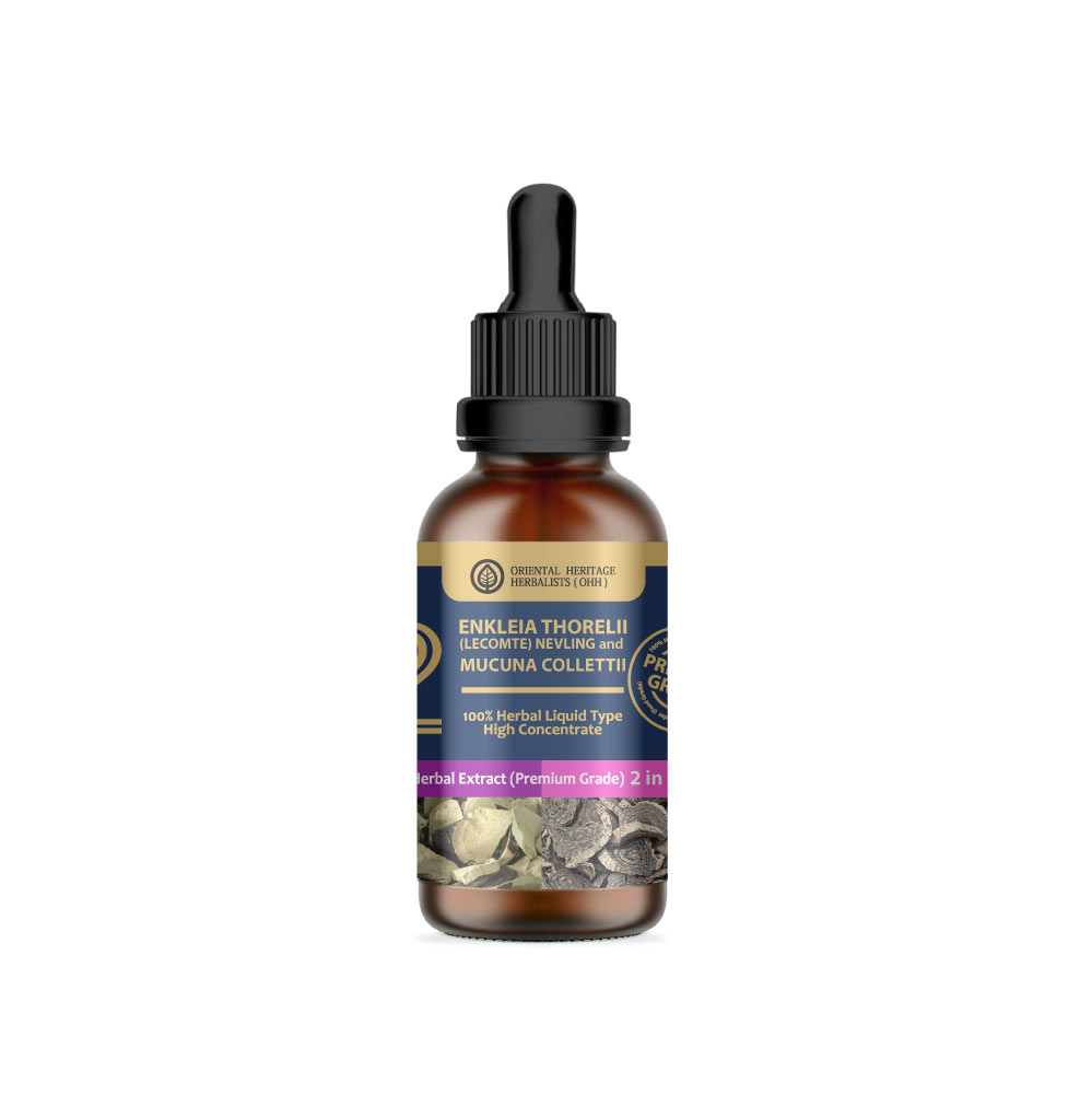 (2in1) Enkleia thorelii (Lecomte) Nevling, Mucuna Collettii Herbal Extract in Liquid Type 50 ml. (High Concentration) ORIENTAL HERITAGE HERBALISTS - Image 2